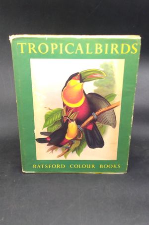 Tropical Birds image number 0