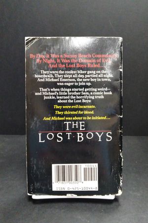 The Lost Boys image number 1