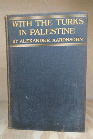 With the Turks in Palestine image number 0