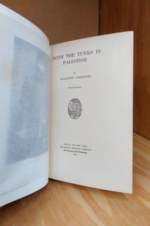 With the Turks in Palestine image number 2