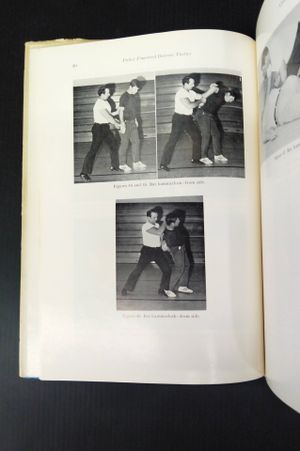 Police Unarmed Defense Tactics image number 2