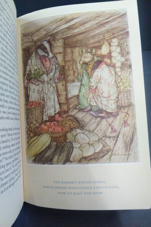 The Wind in the Willows image number 2