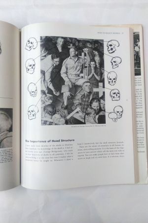 Rockwell on Rockwell: How I Make a Picture image number 1