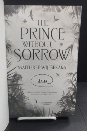 The Prince Without Sorrow image number 1