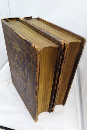 The Life and Times of Washington: Containing a Particular Account of National Principles and Events, and of the Illustrious Men of the Revolution image number 1