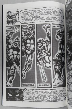 Teenage Mutant Ninja Turtles #1 image number 2