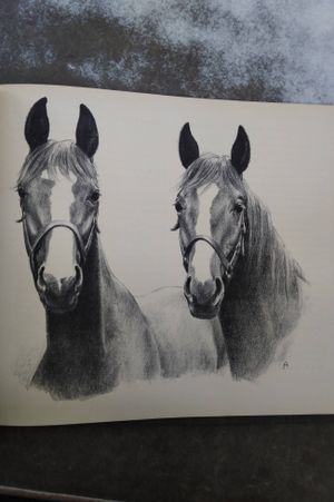 Horses are Folks image number 2