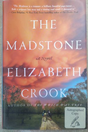 The Madstone image number 2