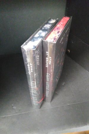 Fiery Little Thing/Skin Of A Sinner (Mystic Box Special Editions) image number 1