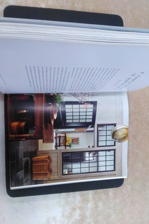 Steven Gambrel: Perspective image number 2
