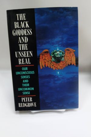 The Black Goddess and the Unseen Real image number 1
