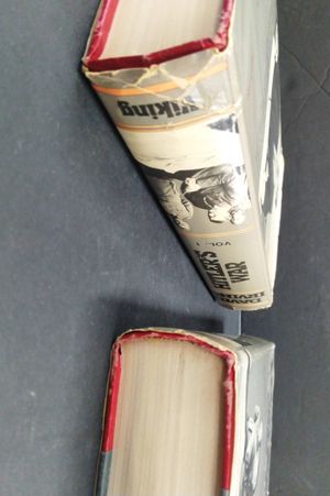 Hitler's War Volume 1 & 2 image number 1