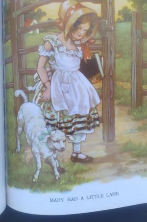 The Brimful Book image number 0