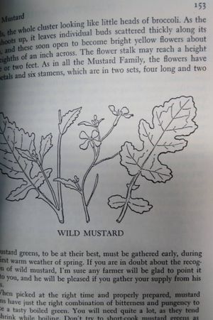 Stalking the Wild Asparagus Field Guide Edition image number 1