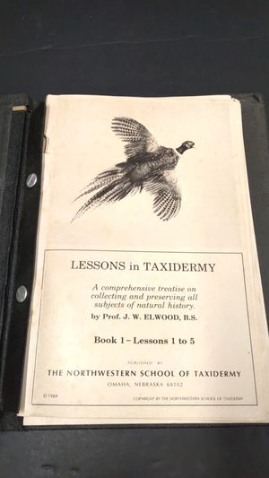 Lessons in Taxidermy image number 2