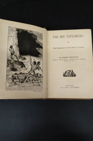 The Boy Explorers image number 1