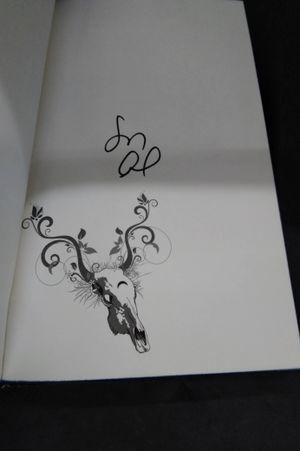 The Luminaries  image number 1