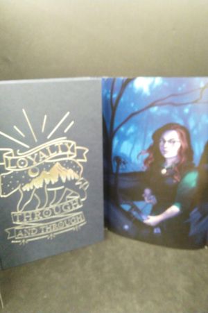 The Luminaries  image number 2