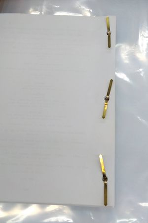 SLEEPY HOLLOW Signed Script - REPRINT image number 2