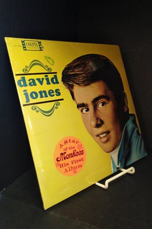 David Jones image number 0