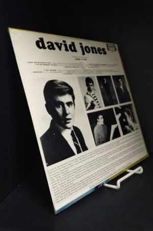 David Jones image number 1