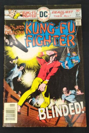 Richard Dragon's Kung-Fu Fighter #8 image number 0