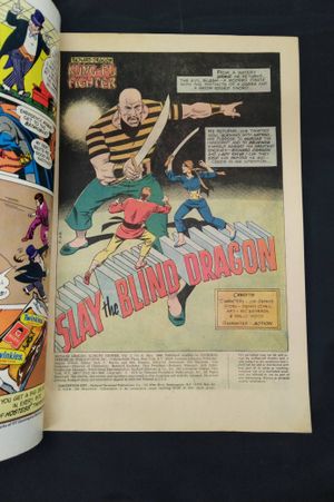 Richard Dragon's Kung-Fu Fighter #8 image number 2
