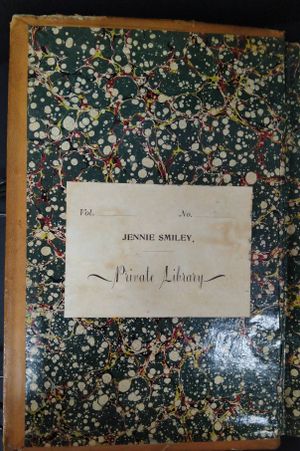 H. M. Stanley's Wonderful Adventures in Africa image number 1