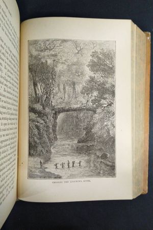 H. M. Stanley's Wonderful Adventures in Africa image number 2