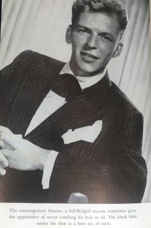 The Voice image number 2