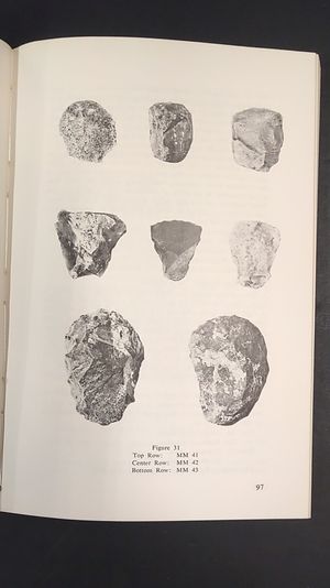 Excavations at Magic Mountain image number 1