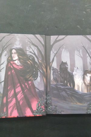 Into Their Woods image number 1