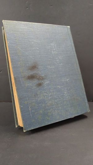 Robinson Crusoe image number 2