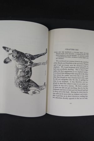 Recollections of William Finaughty, Elephant Hunter image number 2