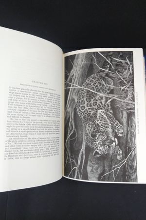 Wild Beasts & Their Ways image number 2