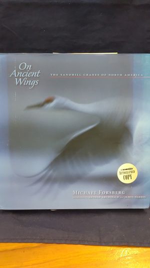 On Ancient Wings image number 1