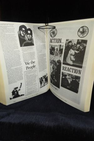 Yes Yes Yes Alternative Press '66-'77 from Provo to Punk image number 2