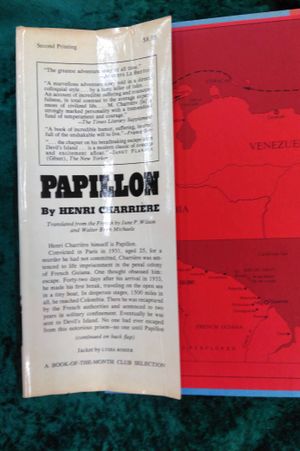 Papillon image number 2