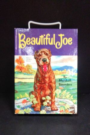 Beautiful Joe image number 0