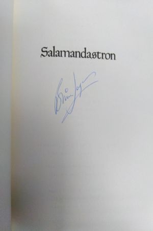 Salamandastron image number 2