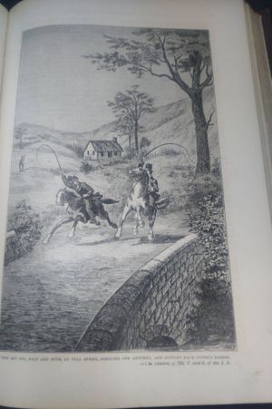 Carleton's Works image number 2