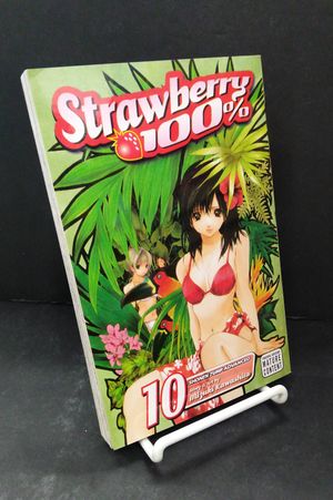 Strawberry 100% 10 image number 0