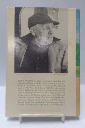 Penny image number 2