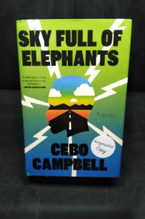 Sky Full of Elephants image number 0