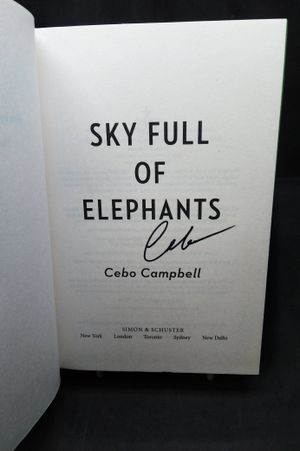 Sky Full of Elephants image number 1