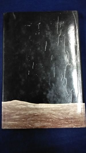 Apollo on the Moon image number 1