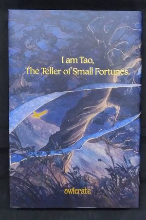 The Teller of Small Fortunes image number 1