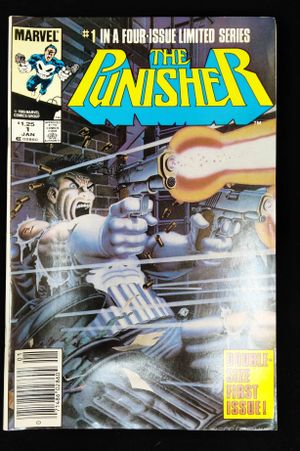 Punisher Issue 1 image number 0