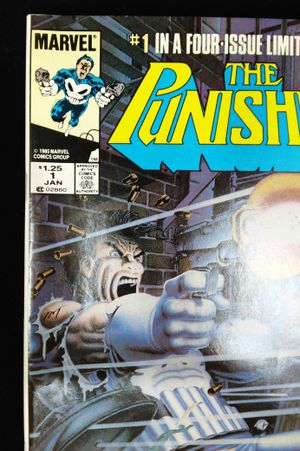 Punisher Issue 1 image number 2