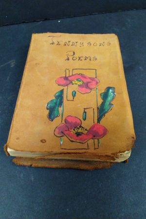 The Poetical Works of Alfred Tennyson image number 0